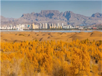 國慶自駕 | 中國頂級絕美胡楊林！一年只美21天！